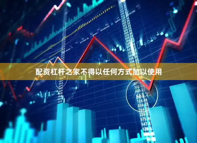 配资杠杆之家不得以任何方式加以使用