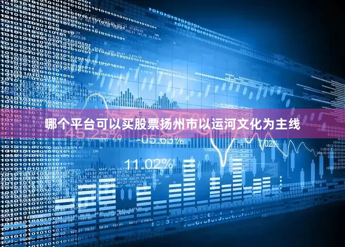 哪个平台可以买股票扬州市以运河文化为主线