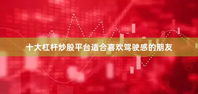 十大杠杆炒股平台适合喜欢驾驶感的朋友