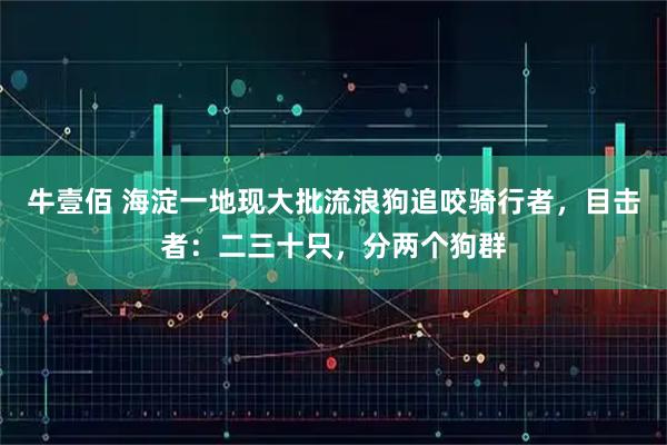 牛壹佰 海淀一地现大批流浪狗追咬骑行者，目击者：二三十只，分两个狗群